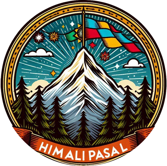 How does Himali Pasal LLC apply the benefits of AI?