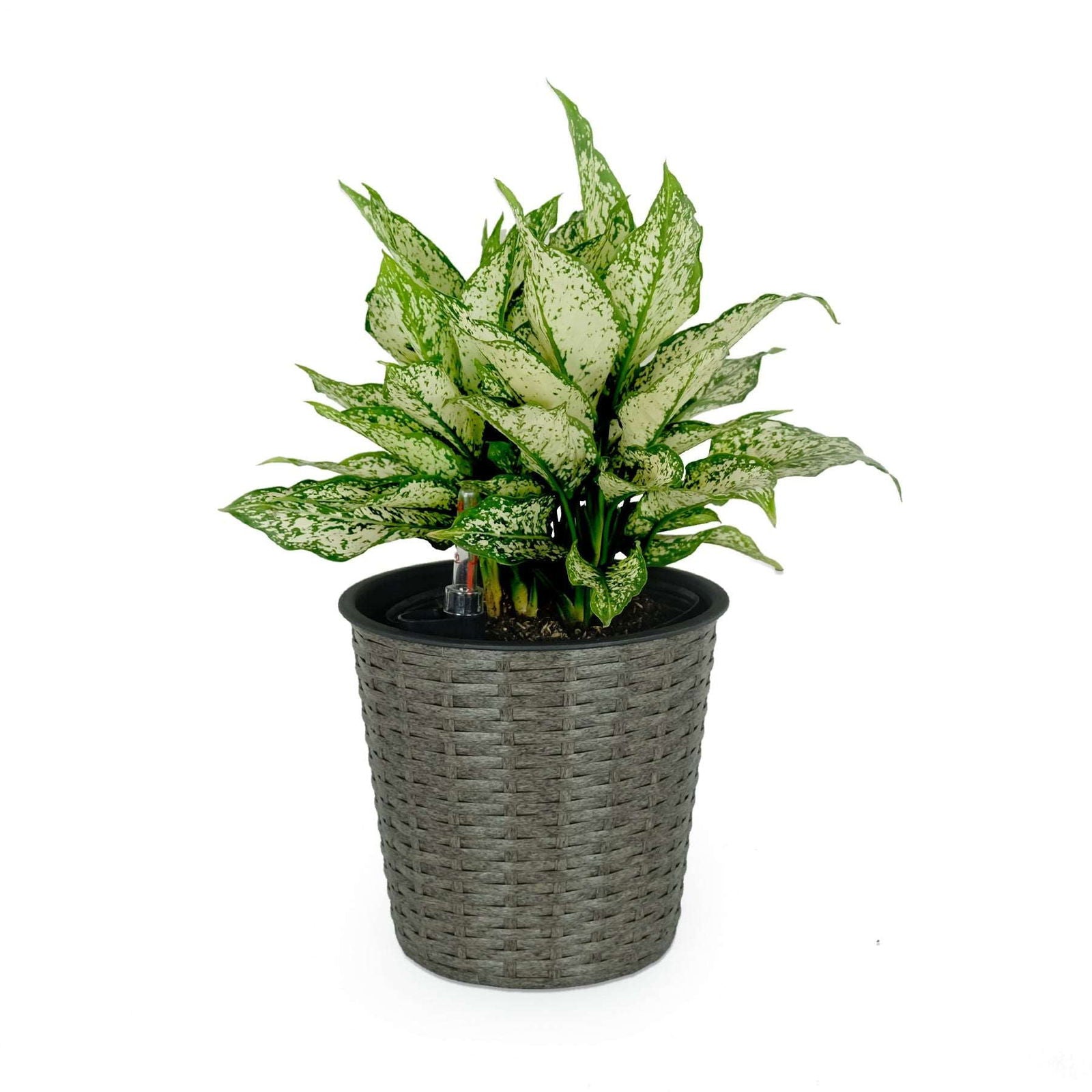 10.2" Self-watering Wicker Decor Planter for Indoor and Outdoor - Round - Grey himalipasal