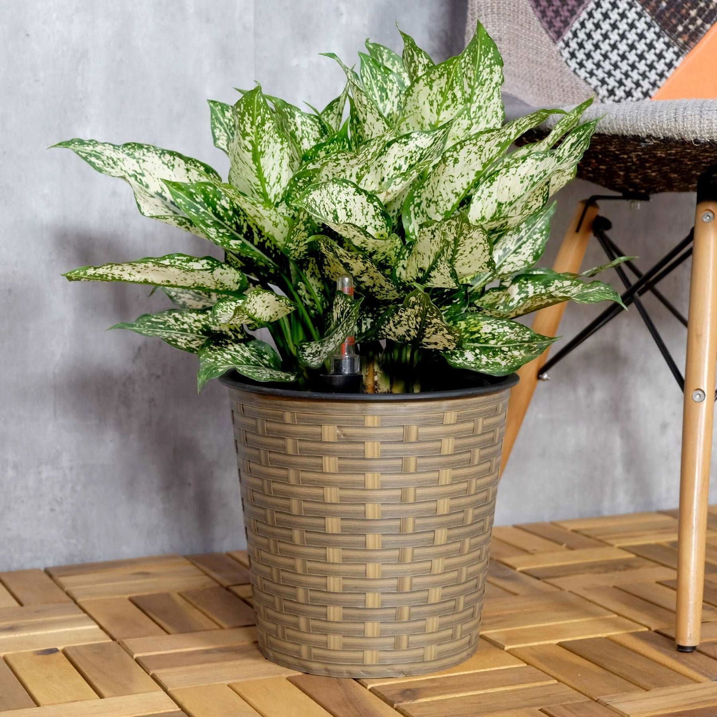 10.2" Self-watering Wicker Decor Planter for Indoor and Outdoor - Round - Natural himalipasal