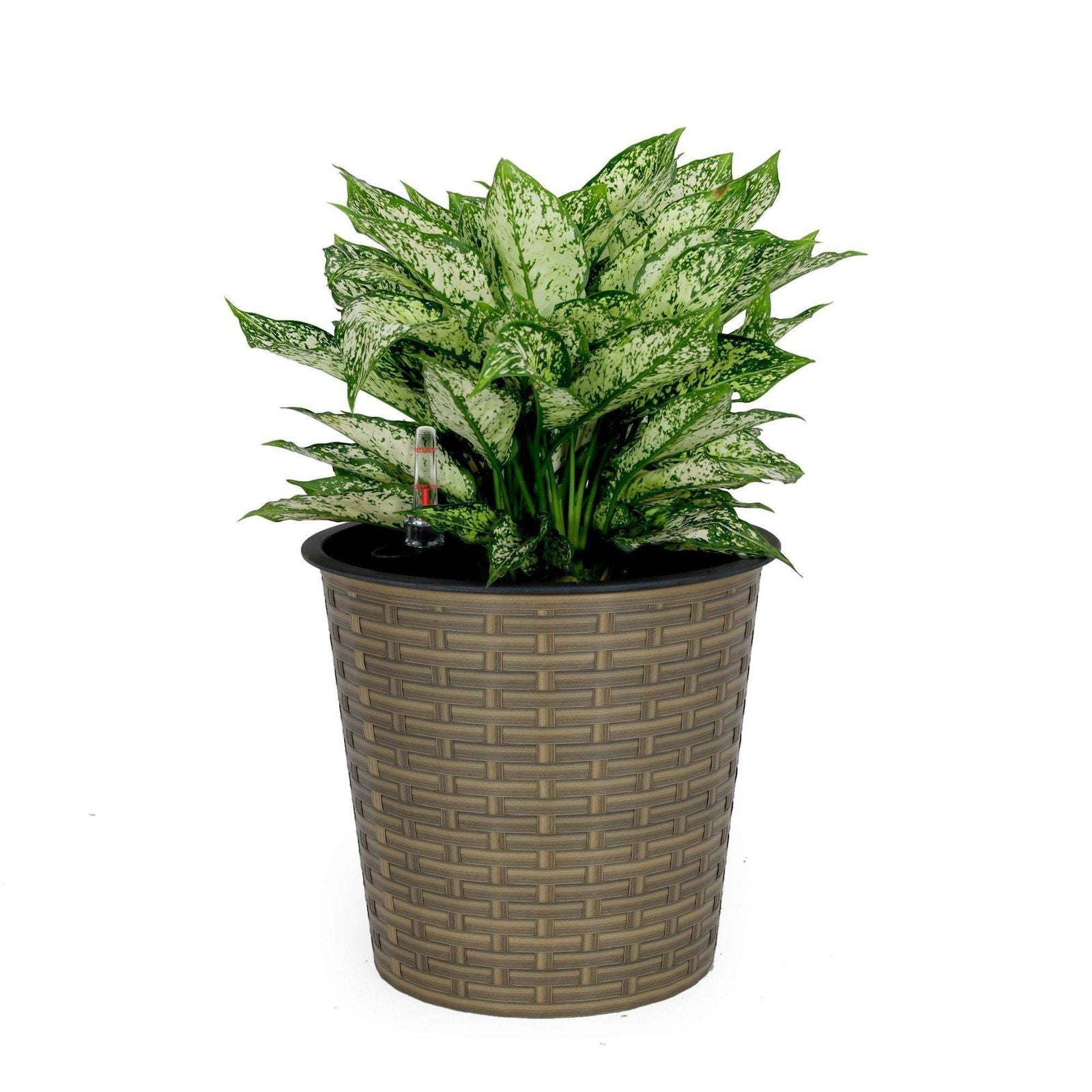 10.2" Self-watering Wicker Decor Planter for Indoor and Outdoor - Round - Natural himalipasal