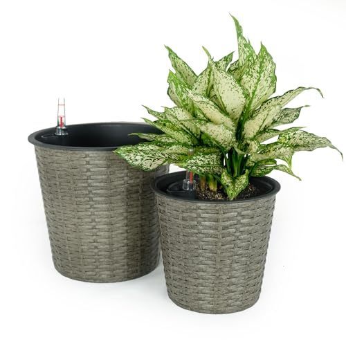 2-Pack Self-watering Wicker Decor Planter for Indoor and Outdoor - Round - Grey himalipasal