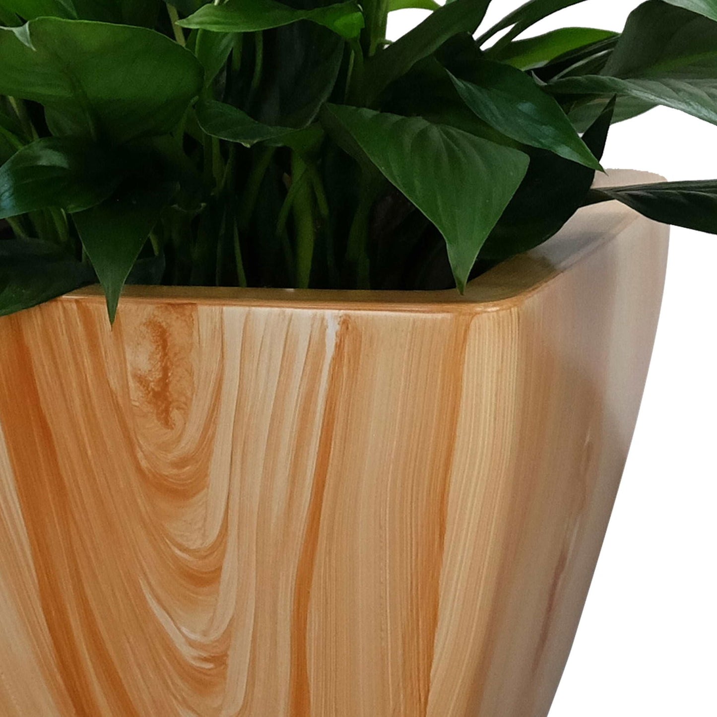 2-Pack Smart Self-watering Planter Pot for Indoor and Outdoor - Light Wood - Square Cone himalipasal