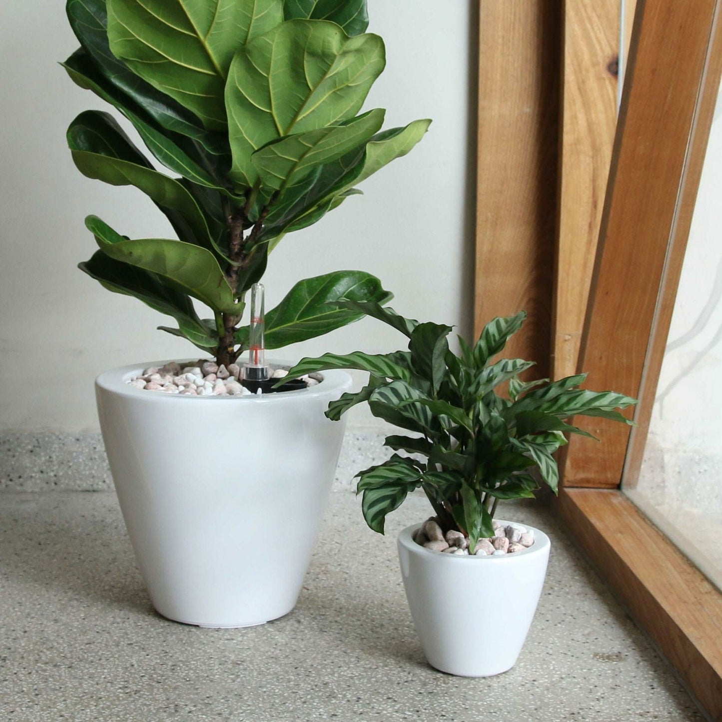 2-Pack Smart Self-watering Planter Pot for Indoor and Outdoor - White - Round Cone himalipasal