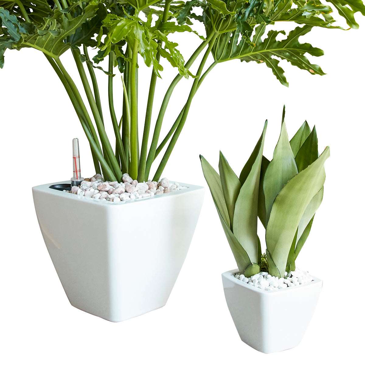 2-Pack Smart Self-watering Planter Pot for Indoor and Outdoor - White - Square Cone himalipasal