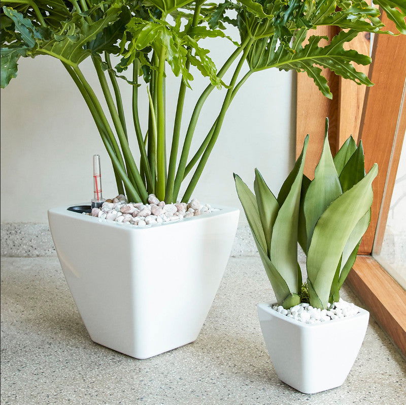 2-Pack Smart Self-watering Planter Pot for Indoor and Outdoor - White - Square Cone himalipasal