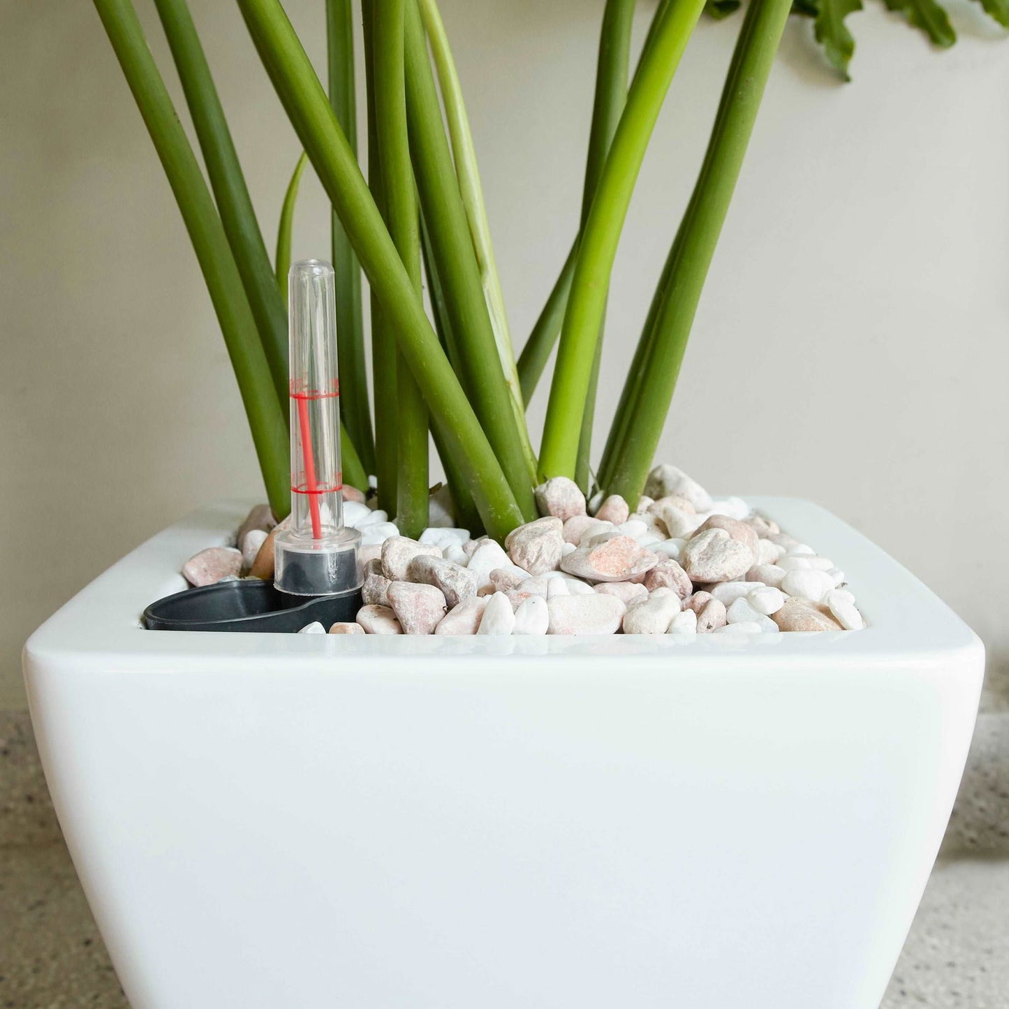 2-Pack Smart Self-watering Planter Pot for Indoor and Outdoor - White - Square Cone himalipasal