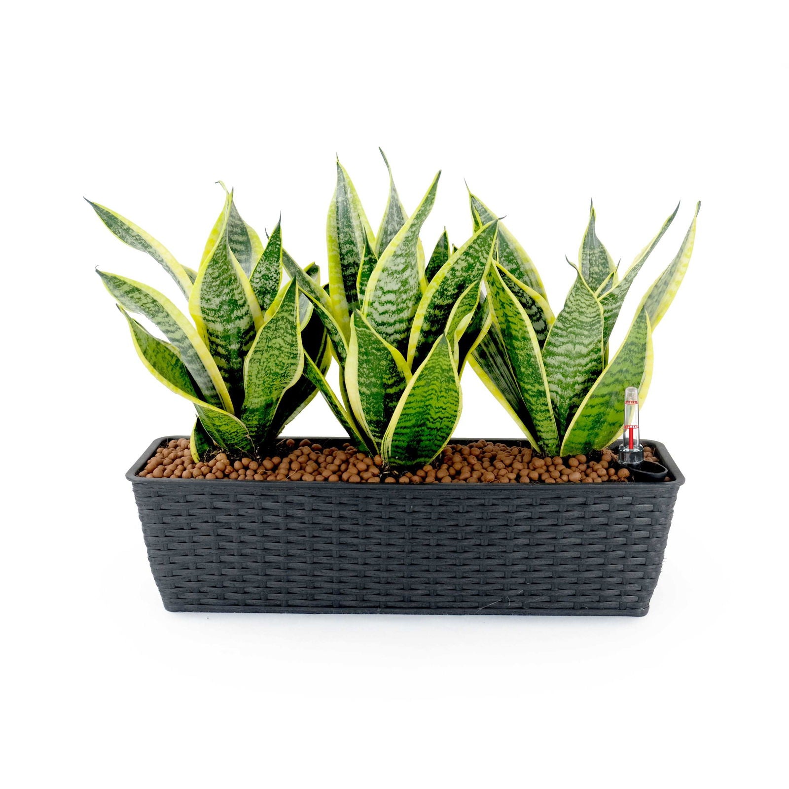 2-Pack Smart Self-watering Rectangle Planter for Indoor and Outdoor - Hand Woven Wicker - Espresso himalipasal