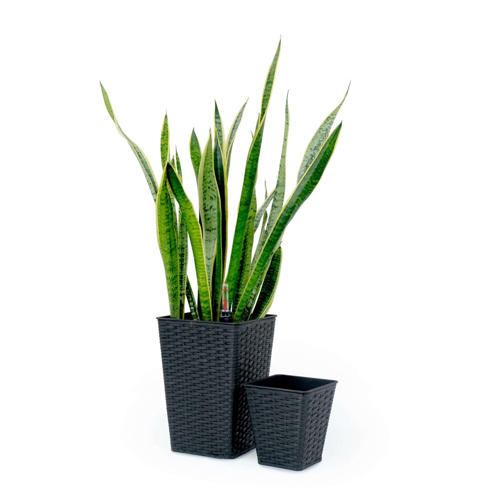 2-Pack Smart Self-watering Square Planter for Indoor and Outdoor - Hand Woven Wicker - Espresso himalipasal