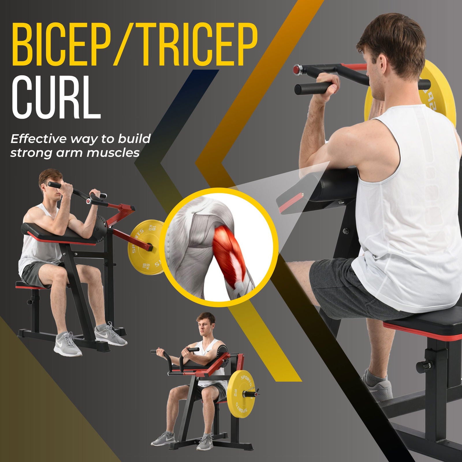 Bicep Tricep Curl Machine with Adjustable Seat, Bicep Curls and Tricep Extension Machine Home Gym himalipasal