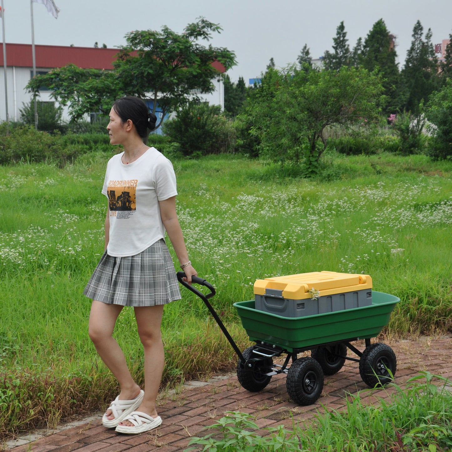 Folding car Poly Garden dump truck with steel frame, 10 inches. Pneumatic tire, 300 pound capacity, 75 liter truck body himalipasal