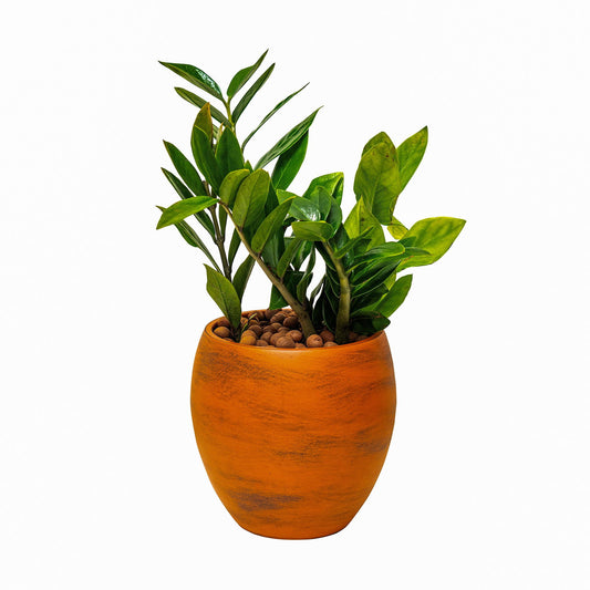 Smart Self-watering Round Planter Pot for Indoor and Outdoor - Terracotta Painted himalipasal